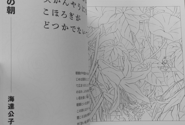 Flower and Lyric Poetry Collection. Japanese coloring book