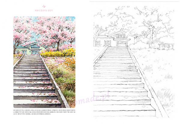 Painting the Four Seasons. JJ's Emotional Watercolor Coloring Book