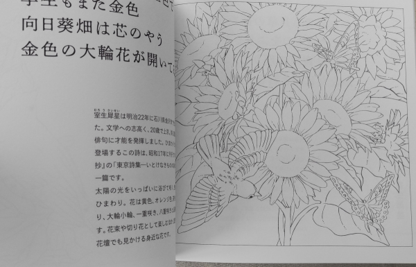 Flower and Lyric Poetry Collection. Japanese coloring book