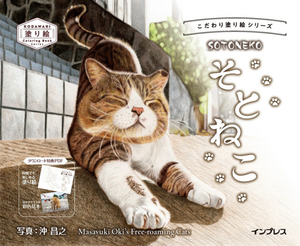 Masayuki Okis the Free-roaming Cats