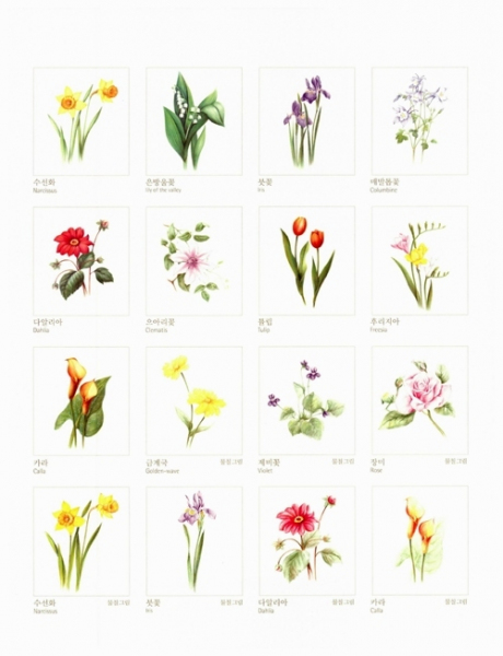 Botanical Art Coloring Book: Flower Edition