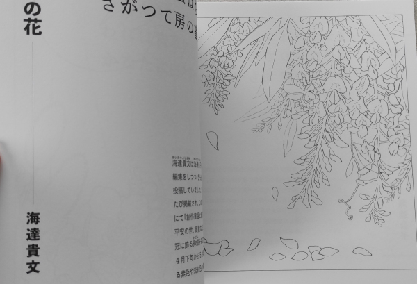 Flower and Lyric Poetry Collection. Japanese coloring book