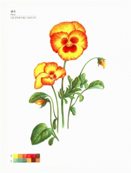 Botanical Art Coloring Book . Botaniczne grafiki do kolorowania