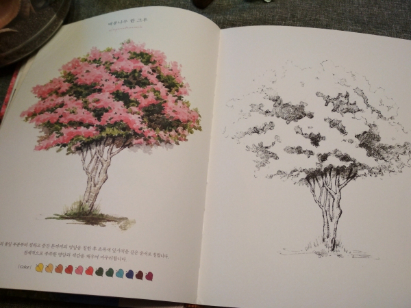 My First Scenery Watercolor Coloring Book. Moje pierwsze pejzaże akwarelami