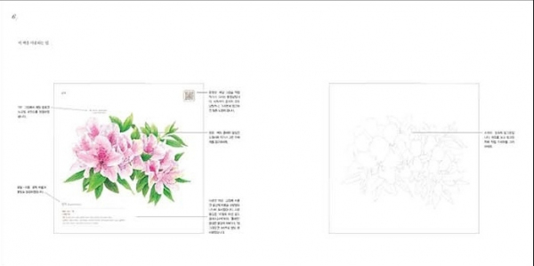 My Flower Coloring Book . Kwiaty do kolorowania akwarelami