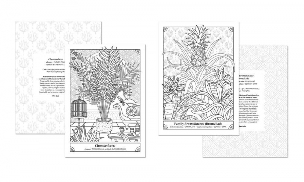 The Happy Houseplant Coloring Book