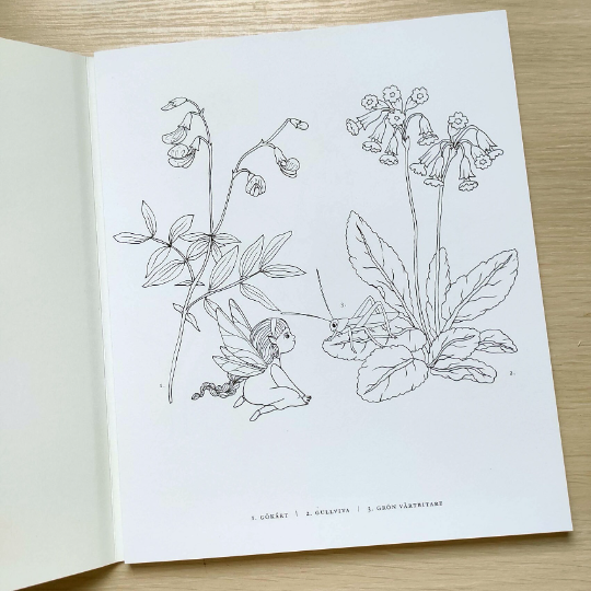 Lilla atbara floran: Malarbok Swedish edition