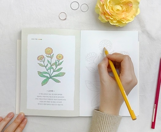 5 Minute Coloring Book - Flower Coloring