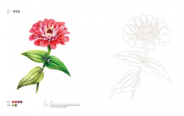 Colored Pencil Flower Painting Coloring Book. Easy Botanical Art Coloring Book