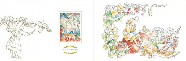 The Story of a Forest Girl. Post Card Coloring Book. Korean edition