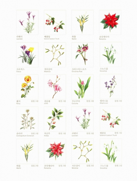 Botanical Art Coloring Book . Botaniczne grafiki do kolorowania