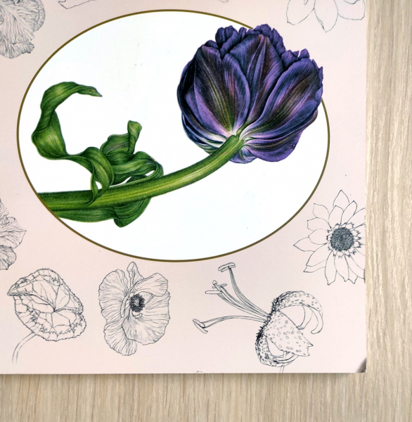 DEFEKT] Basic Botanical Art Coloring Book