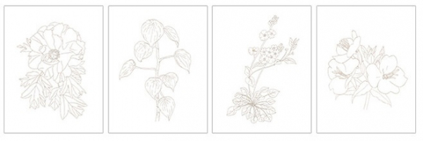 Small Garden Edition . Easy Botanical Art Coloring Book