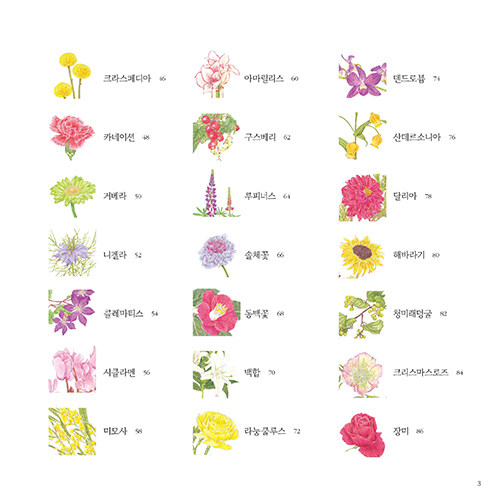 A One-day Flower Drawing Class coloring book