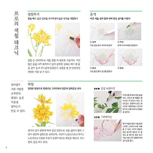A One-day Flower Drawing Class coloring book