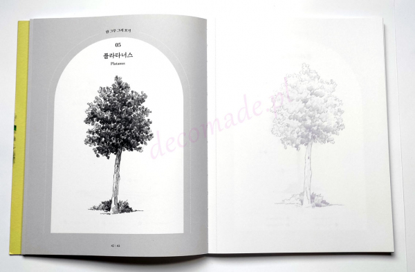 [DEFEKT] Tree Landscape Coloring Book