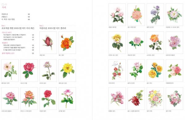 Garden of Roses Botanical Art Coloring Book