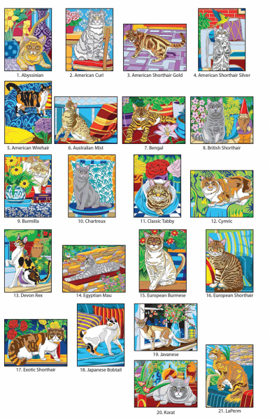 CATS. Color by Number Coloring Book. Kolorowanka według numerków