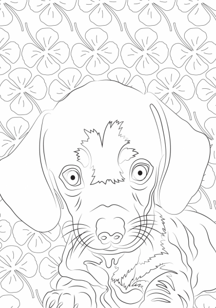 Bebes animaux: 60 coloriages anti-stress