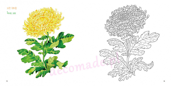 Flower coloring trip to dream and draw happiness