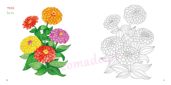 Flower coloring trip to dream and draw happiness