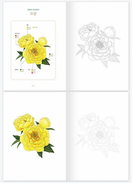 Botanical Artist's Flower Coloring Book