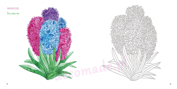 Flower coloring trip to dream and draw happiness