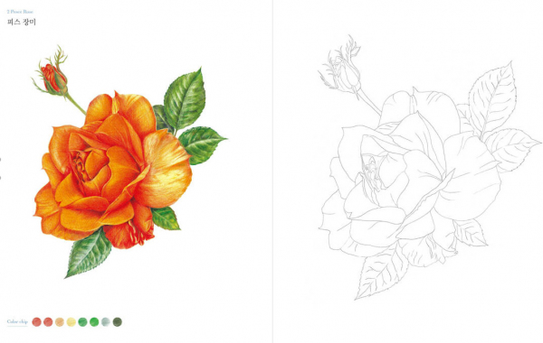 Garden of Roses. Easy Botanical Art Coloring Book