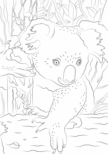 Bebes animaux: 60 coloriages anti-stress